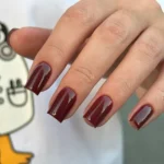 Oja Semipermanenta Must Have 1040, 8 ml Patrisa Nail