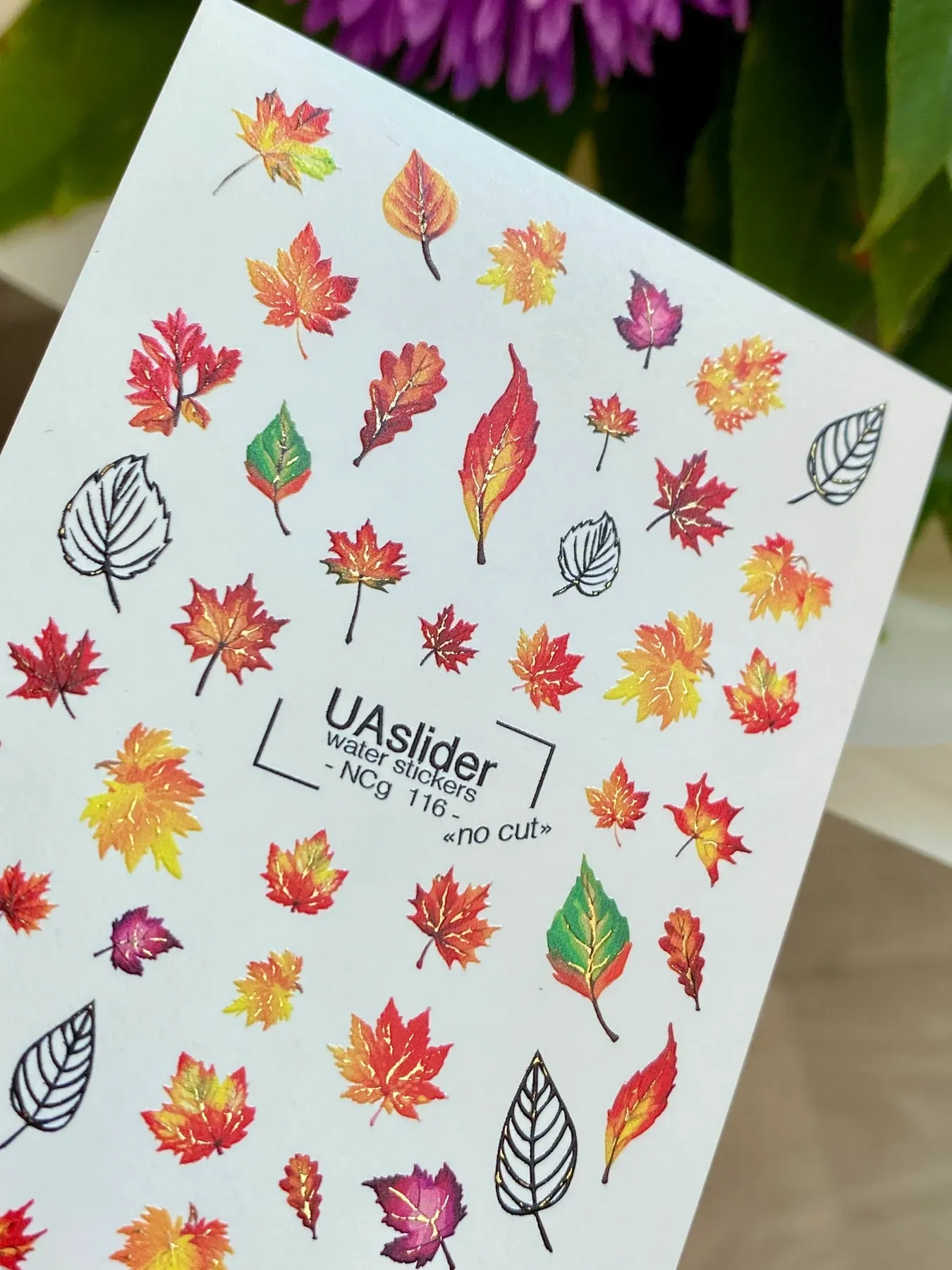 slaidery-bez-zaivoi-plivky-gold-ncg-116-73292328690591 UA Slider No cut NCg 116 - imagine 1
