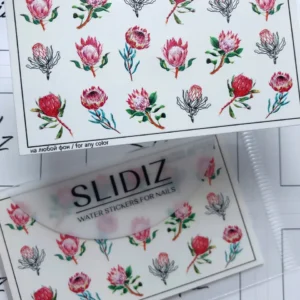 Slidiz P551