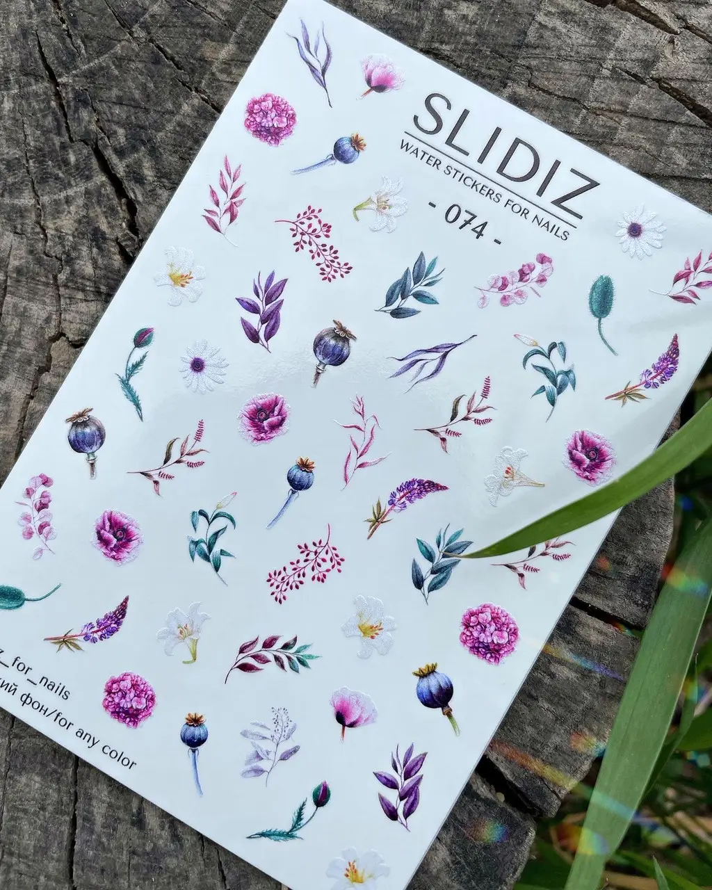 3772355940_w640_h640_3772355940.webp Slidiz 074 - imagine 1