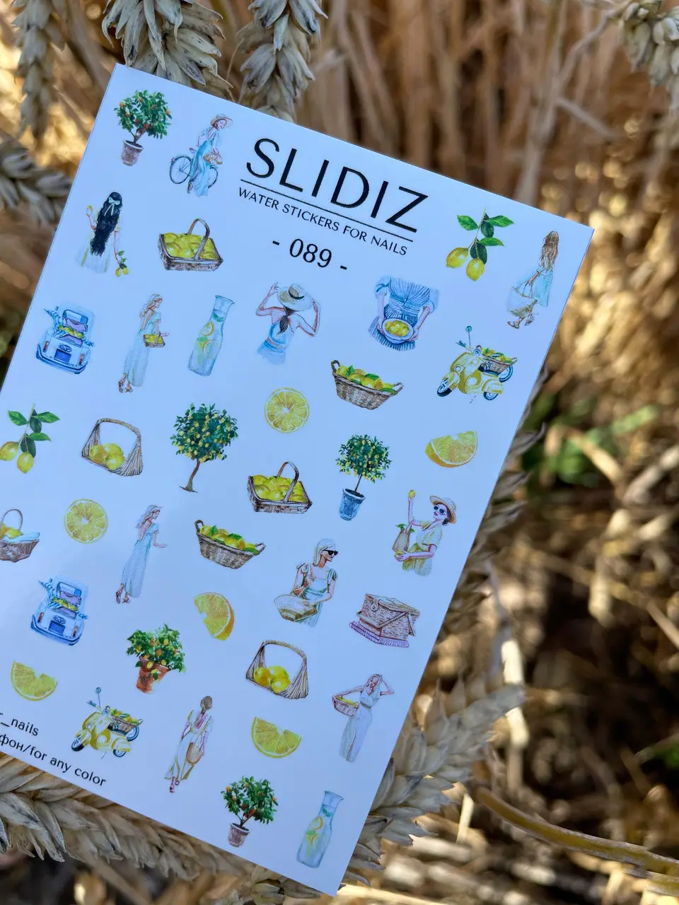 3902558807_w640_h640_3902558807.webp Slidiz 089 - imagine 1