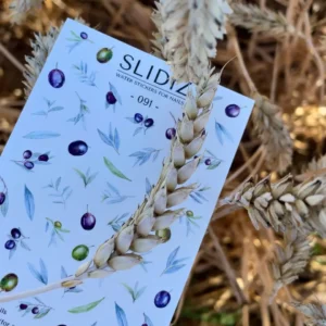 Slidiz 091