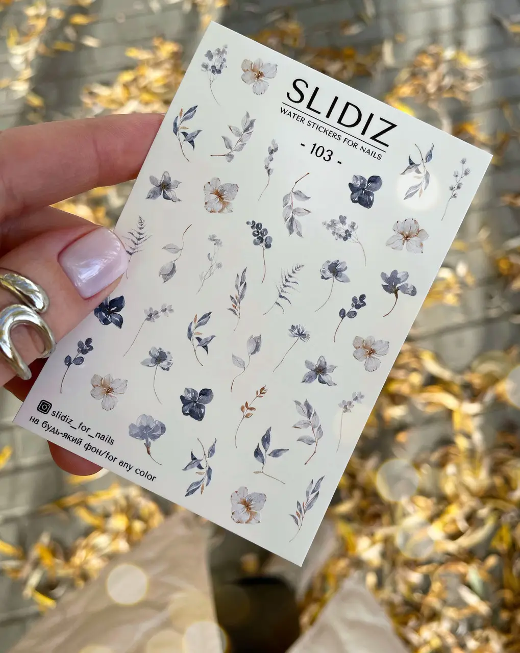 4072529744_w640_h640_4072529744.webp Slidiz 103 - imagine 1