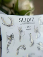 Slidiz 171 - imagine 2