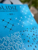 Slidiz 163 - imagine 3