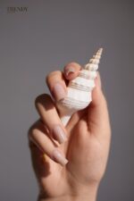 Acrygel Crystal Cream 15g, Trendy Nails - imagine 2