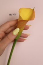 Color Base 34, Trendy Nails - imagine 3