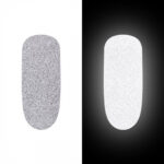 Pigment Flash 5g, Patrisa Nail