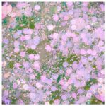 Paiete Hexa Effect Pink C0308, Cupio
