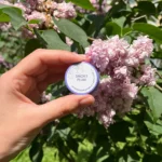 Ceară bio pentru întărirea unghiilor Smoky Plum, 5g, Patrisa Nail - imagine 4